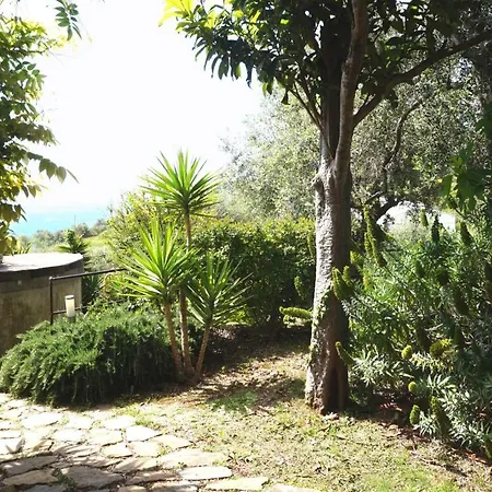 I Valloni אימפריה